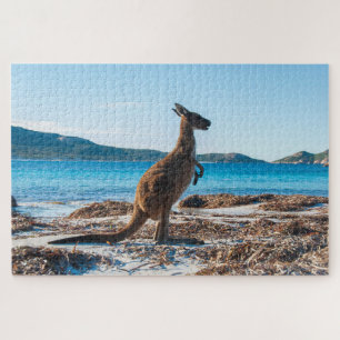 Quebra-cabeça Kangaroo na praia na Baía de Lucky, 1014 peças