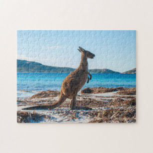Quebra-cabeça Kangaroo na praia na Baía de Lucky, 252 peças