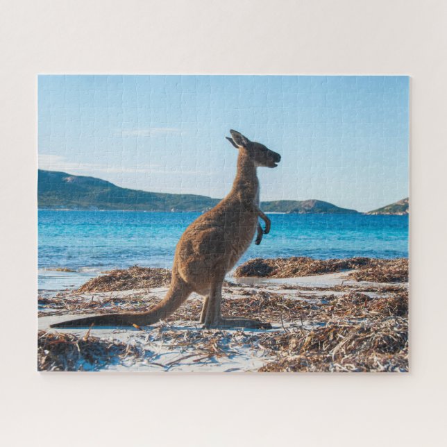 Quebra-cabeça Kangaroo na praia na Baía de Lucky, 520 peças (Horizontal)
