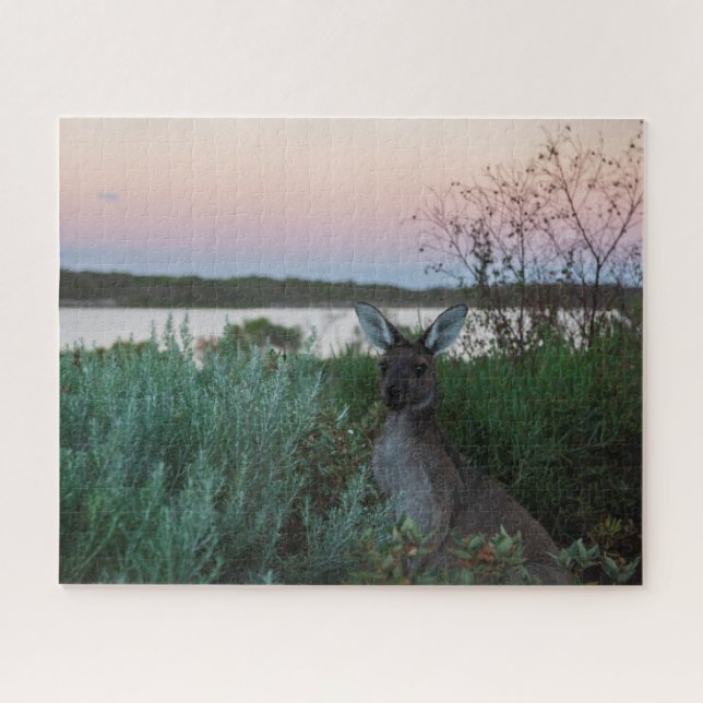 Quebra-cabeça Kangaroo Sunset no lago da Austrália, 520 peças (Horizontal)