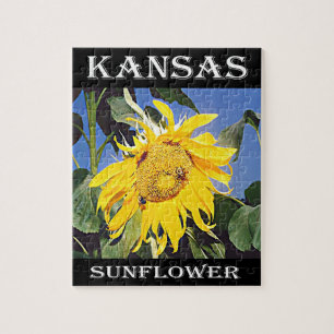 Quebra-cabeça Kansas Sunflower