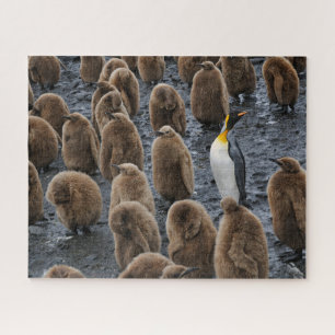 Quebra-cabeça King Penguin and Young Chicks on South Georgia