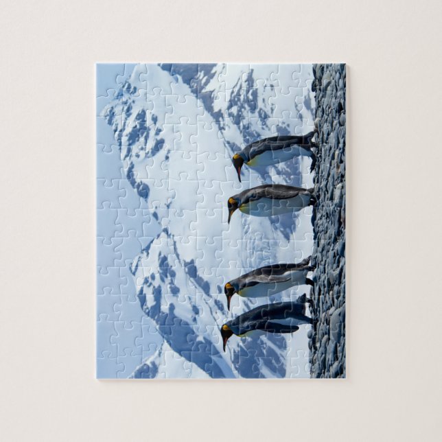 Quebra-cabeça King Penguins at South Georgia (Vertical)