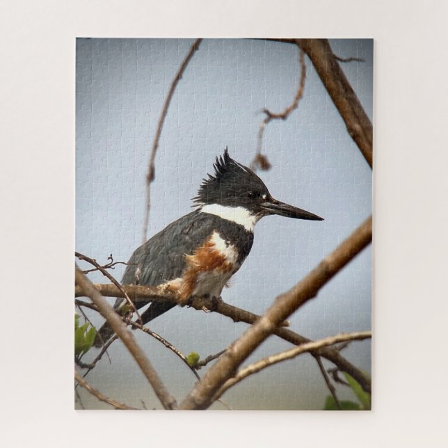Quebra-cabeça Kingfisher Belado (Vertical)