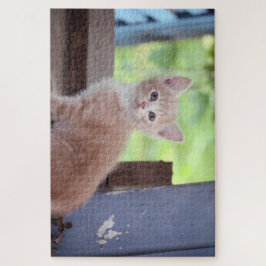 Quebra-cabeça Kitten