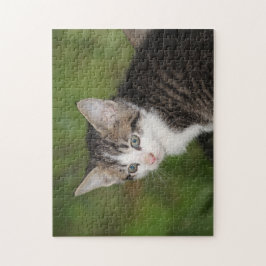 Quebra-cabeça Kitten