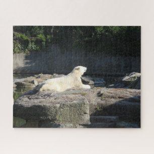 Quebra-cabeça Knut, o Urso Polar do Jardim Zoológico de Berlim