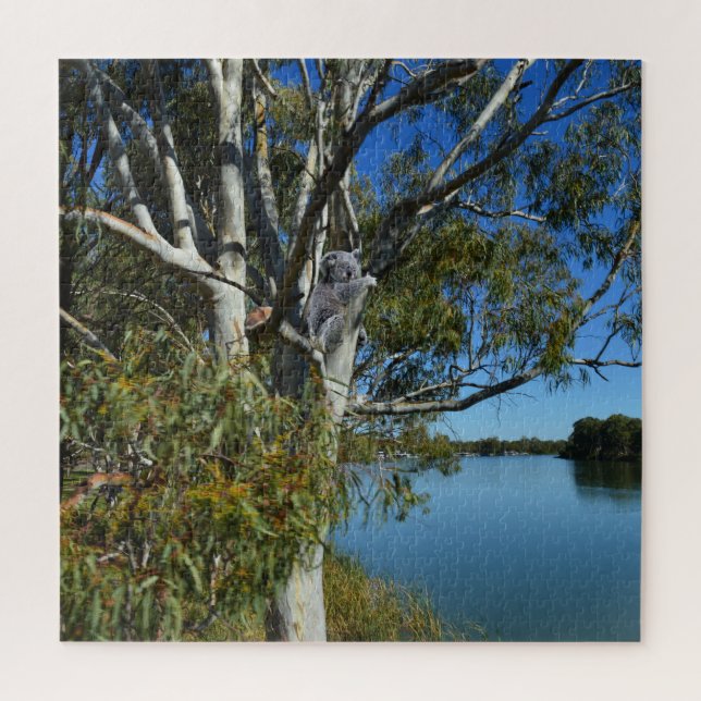 Quebra-cabeça Koala Bear Dormindo Na Árvore De Goma. (Vertical)