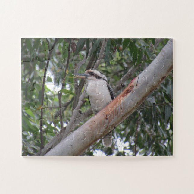 Quebra-cabeça kookaburra (Horizontal)