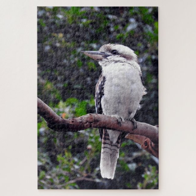 Quebra-cabeça Kookaburra (Vertical)