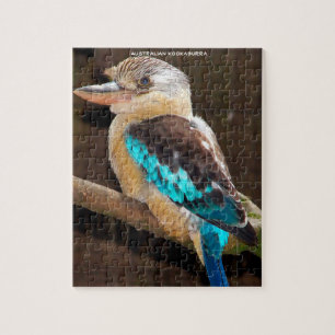 Quebra-cabeça Kookaburra australiano