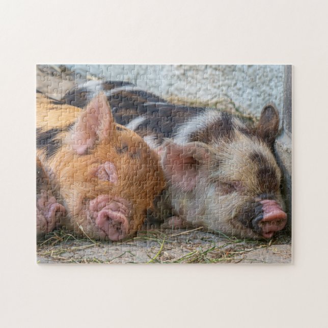 Quebra-cabeça Kune Piglets (Horizontal)