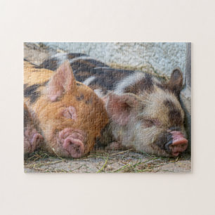 Quebra-cabeça KuneKune