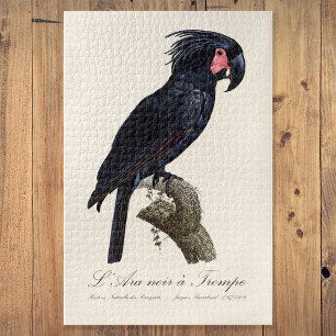 Quebra-cabeça L' Ara Noir a Trompe / Palm Cockatoo 
