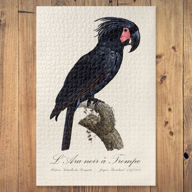 Quebra-cabeça L' Ara Noir a Trompe / Palm Cockatoo  (L' Ara Noir a Trompe / Palm Cockatoo. Jigsaw Puzzle)