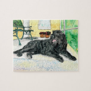 Quebra-cabeça Labradoodle preto