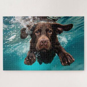 Quebra-cabeça Labrador Chocolate Alegre Nadando Submerso
