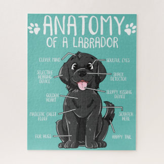 Quebra-cabeça labrador labrador recupera dono de um cão de labor