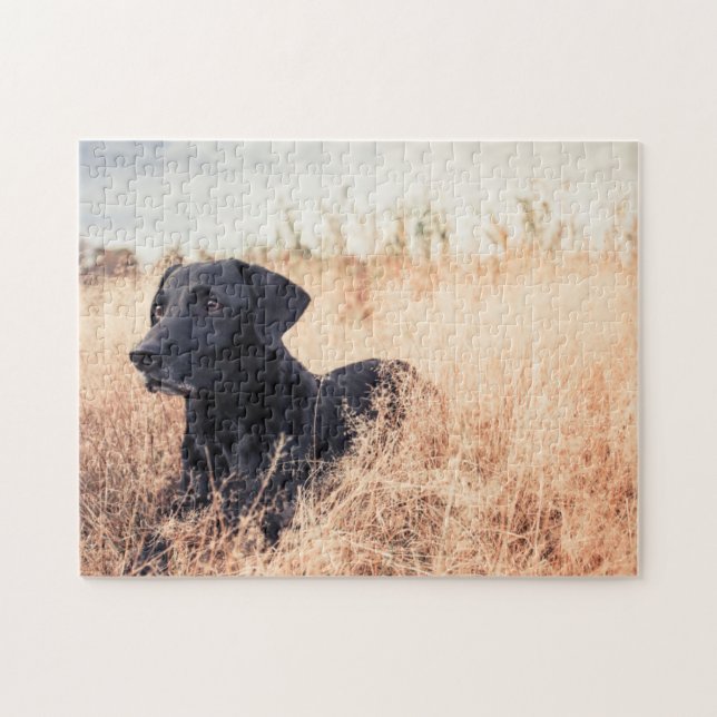 Quebra-cabeça Labrador Negro De Grama Seca (Horizontal)