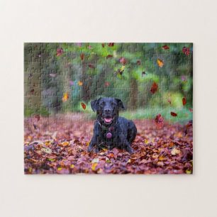 Quebra-cabeça Labrador Negro Em Folhas De outono