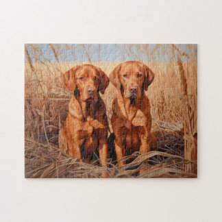 Quebra-cabeça Labradores retriever vermelhos raposa