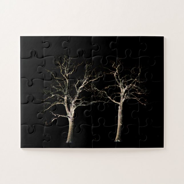 Quebra-cabeça Lado Escuro 9 jpcna 11x14 30pc (Horizontal)