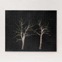 Lado escuro 9 jpcnm de 16 x 20 520 pc