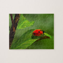 Quebra-cabeça Ladybug