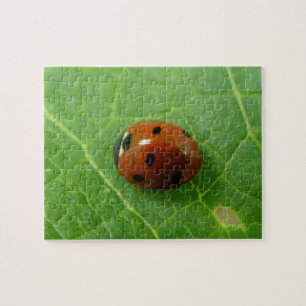 Quebra-cabeça Ladybug