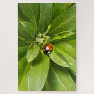 Quebra-cabeça Ladybug em Flores