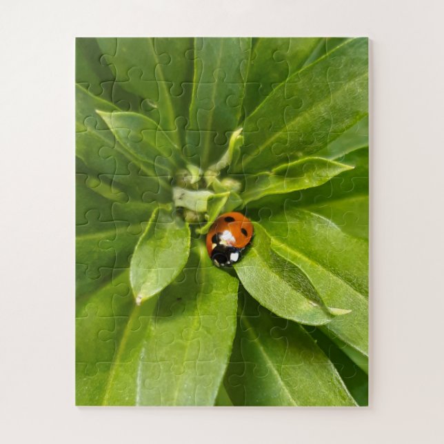 Quebra-cabeça Ladybug em Flores (Vertical)