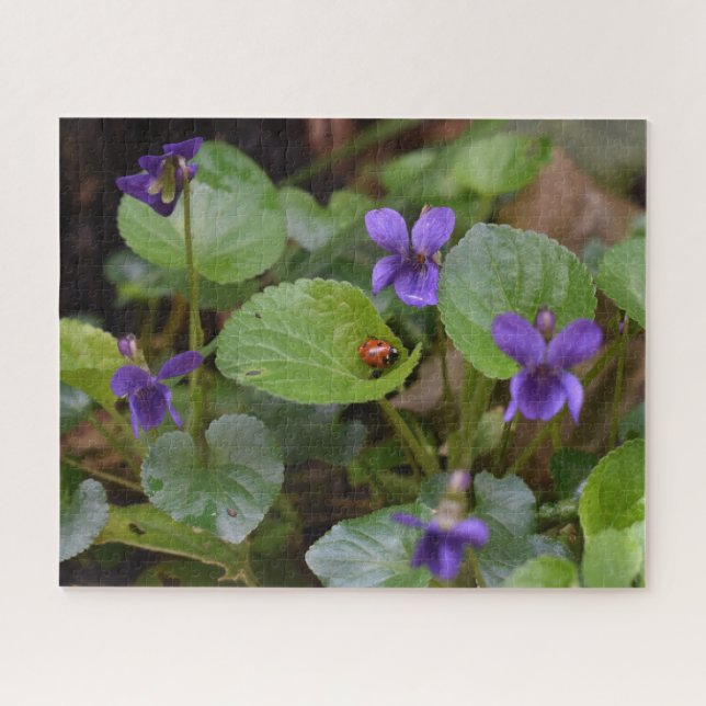 Quebra-cabeça Ladybug em Flores de Violeta Doce (Horizontal)