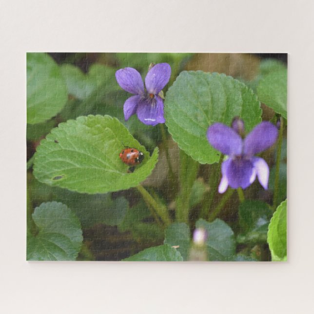 Quebra-cabeça Ladybug em Flores de Violeta Doce (Horizontal)