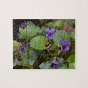 Quebra-cabeça Ladybug em Flores de Violeta Doce