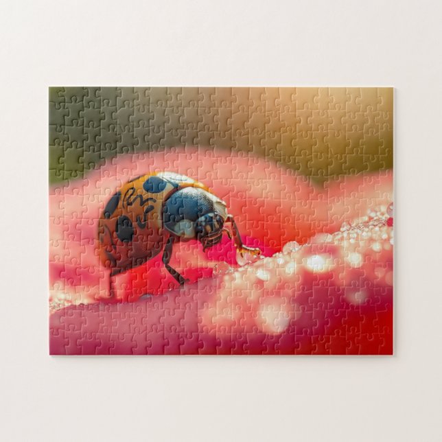 Quebra-cabeça Ladybug macro on a flower (Horizontal)