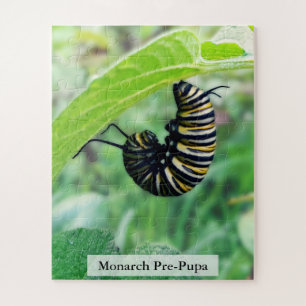 Quebra-cabeça Lagarta de Borboleta Monarca Pré-Pupa 56Pcs