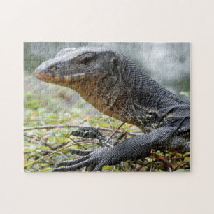 Quebra-cabeça Lagarto de monitor