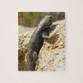 Quebra-cabeça Lagarto Espinhoso de Dorso Amarelo em Joshua Tree