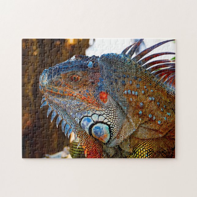 Quebra-cabeça Lagarto Iguana Flórida (Horizontal)
