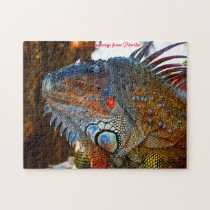 Quebra-cabeça Lagarto Iguana Flórida . Saudações de Natal