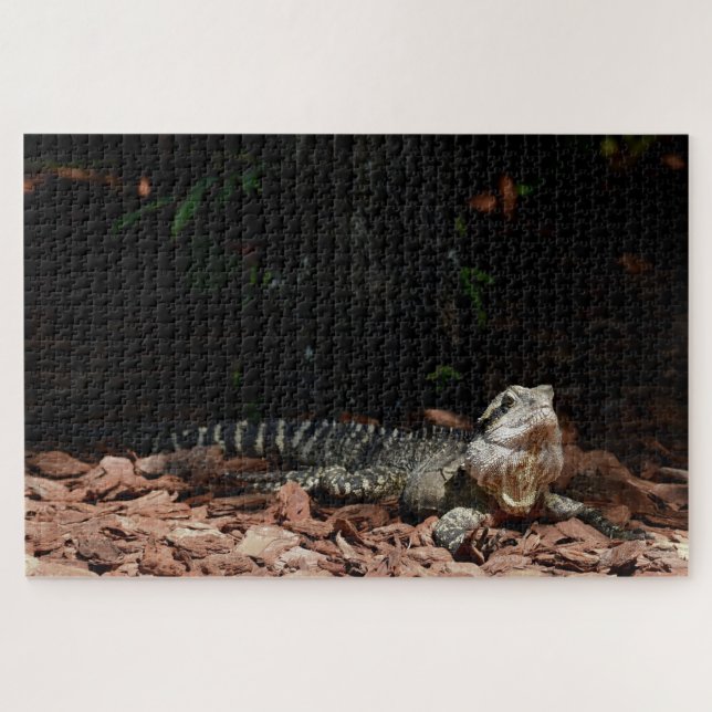 Quebra-cabeça Lagarto Réptil - Dragão de Água Oriental (Horizontal)