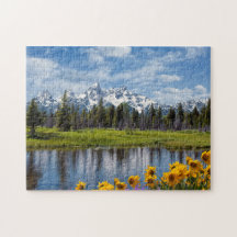 Lago da Montanha de Wyoming
