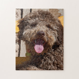 Quebra-cabeça Lagotto Romagnolo Deitado Em Uma Bancada De Madeir