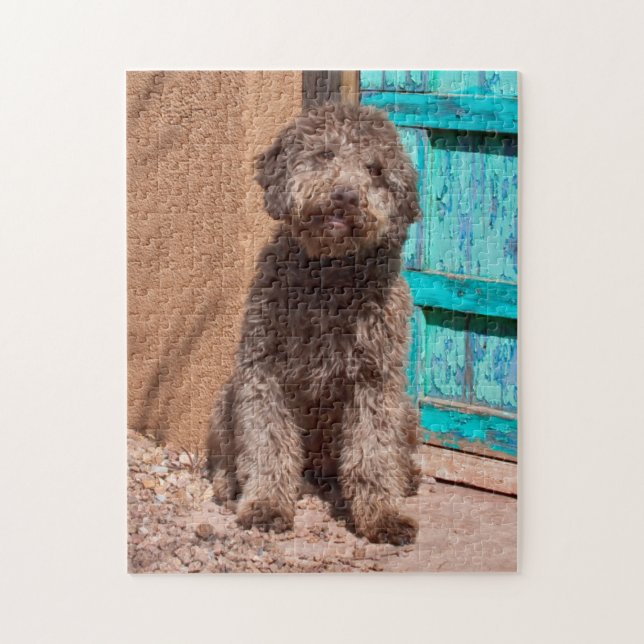 Quebra-cabeça Lagotto Romagnolo Esperando Junto a uma Porta Azul (Vertical)