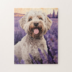 Quebra-cabeça Lagotto Romagnolo no campo da Lavanda