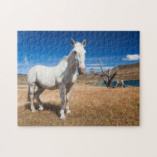 Quebra-cabeça Laguna Azul, paisagem com cavalos