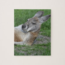 Laid-back Kangaroo