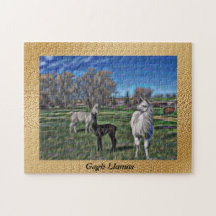 Lama do lama do lama