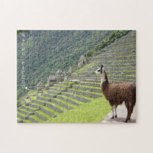 Quebra-cabeça lama machu picchu