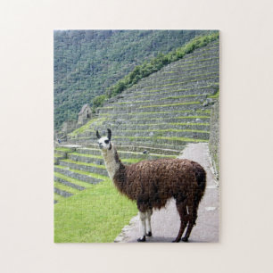 Quebra-cabeça lama peru